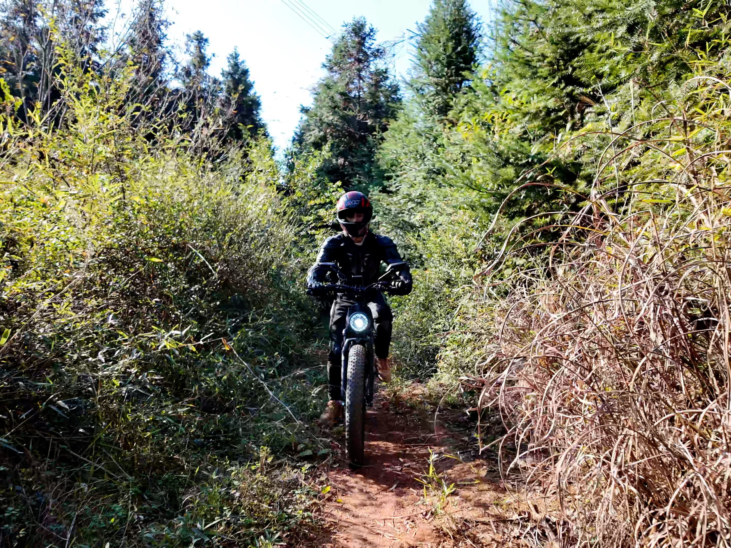 How Fast Can a 5000W Electric Bike Really Go?