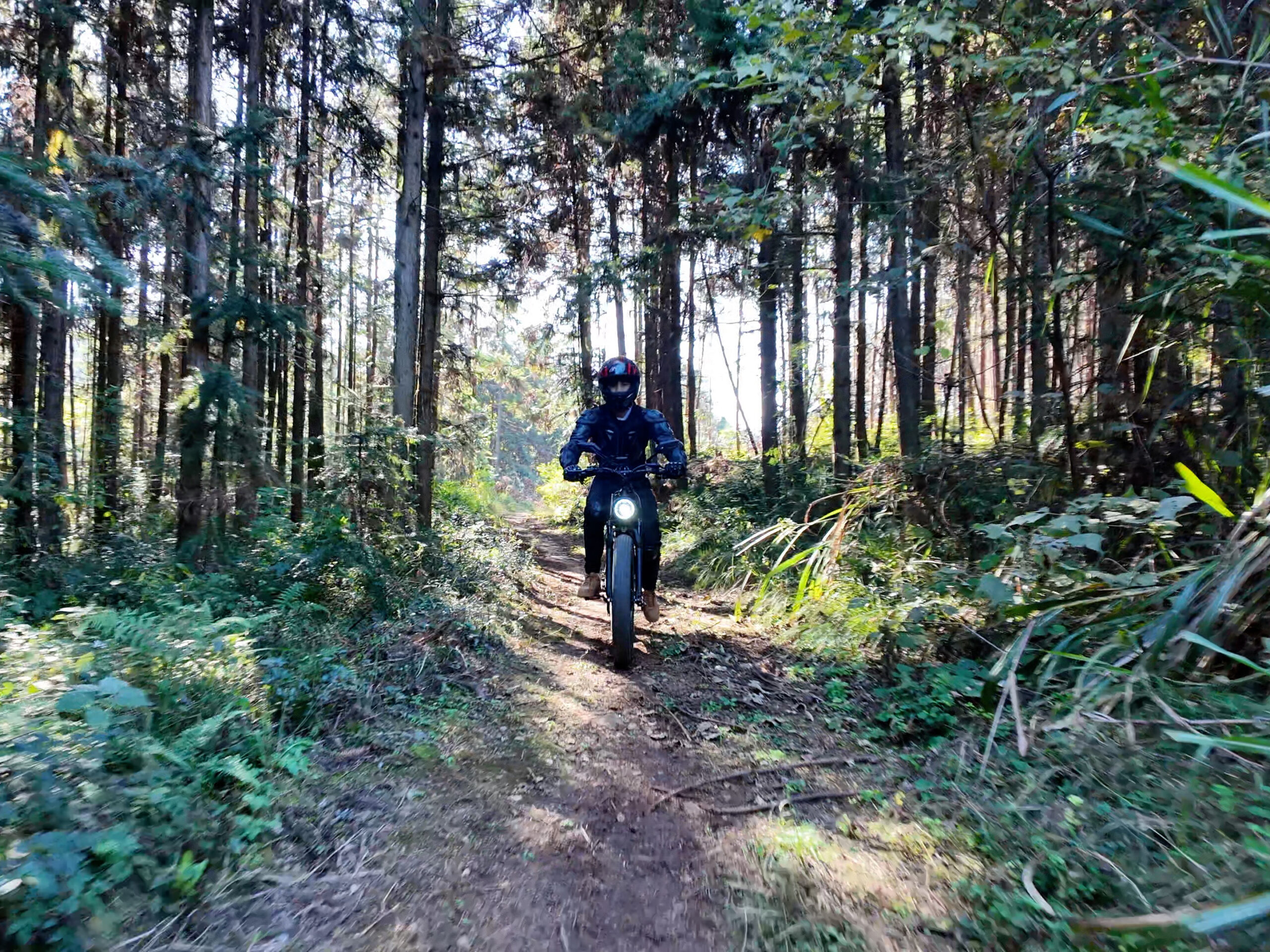 Why 5000W Electric Bikes for Sale Are the Best Investment for Riders