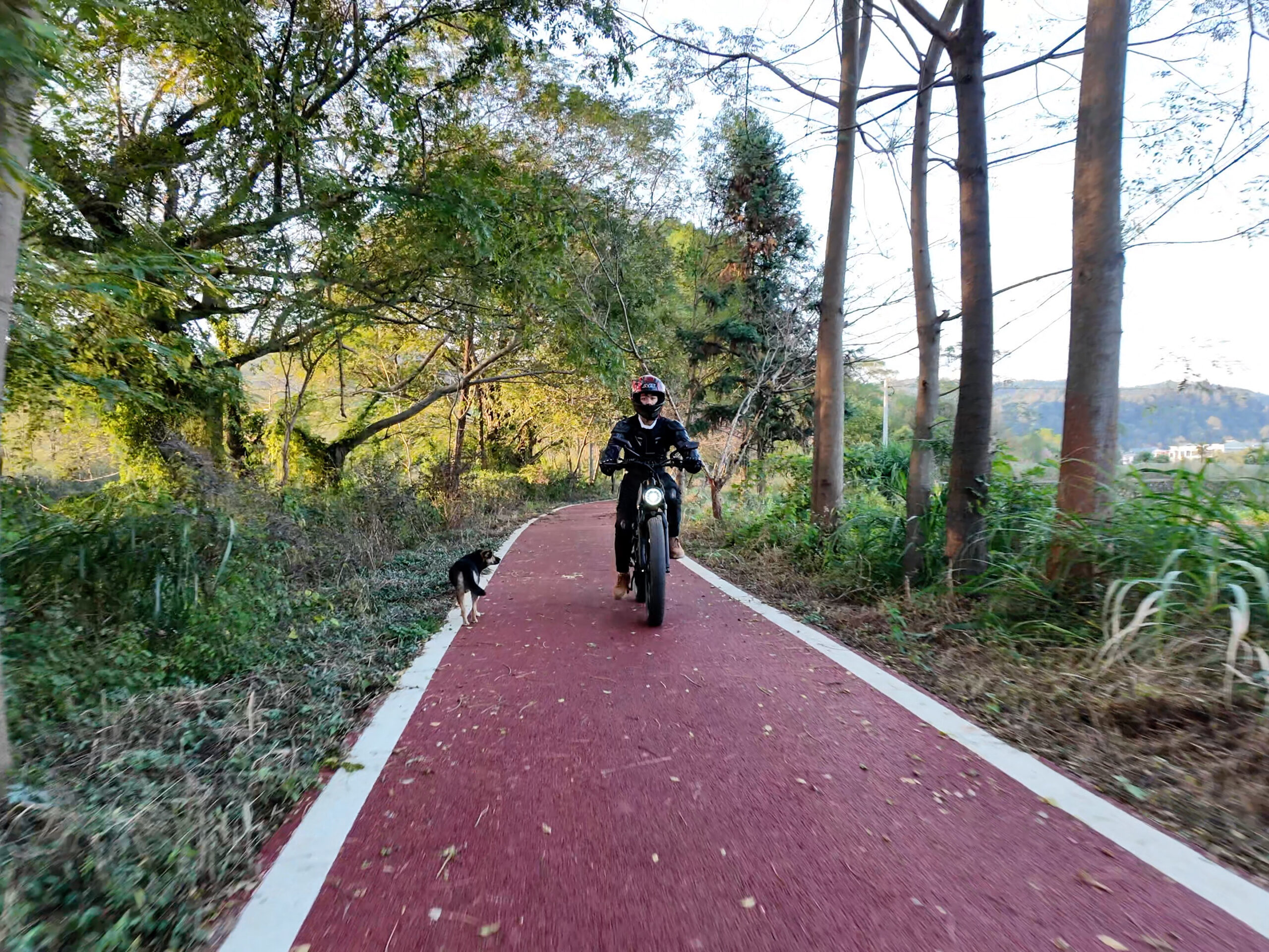 Benefits of Cycling for Men