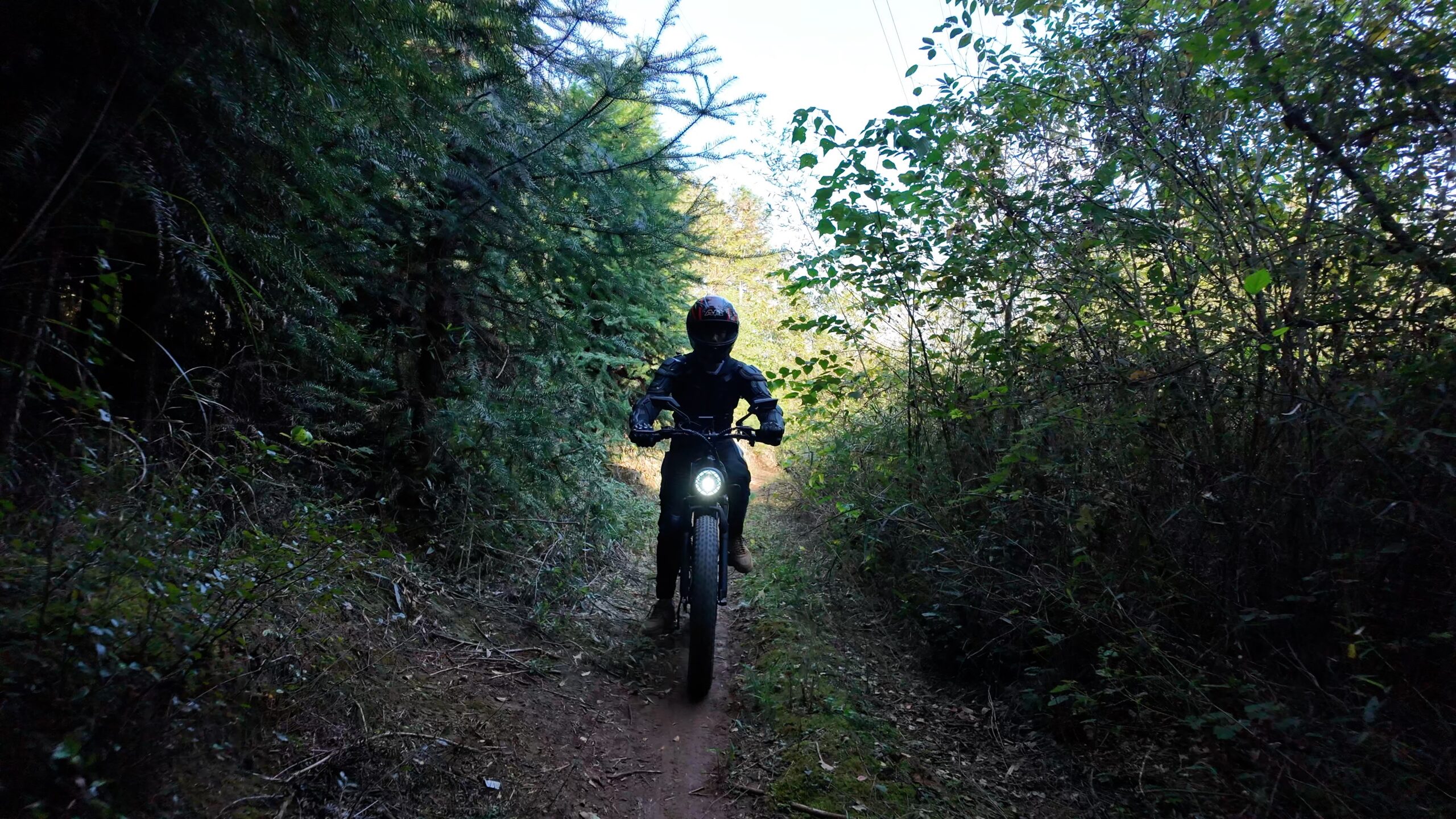 How to Ride Your E-Bike This Summer