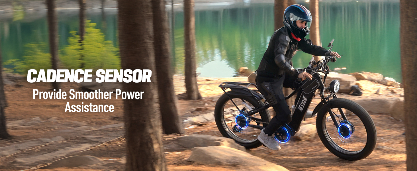 EcoE Guide: Reasons Why Electric Bikes Are Expensive